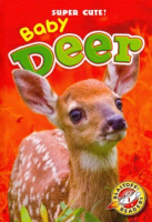 Baby_deer